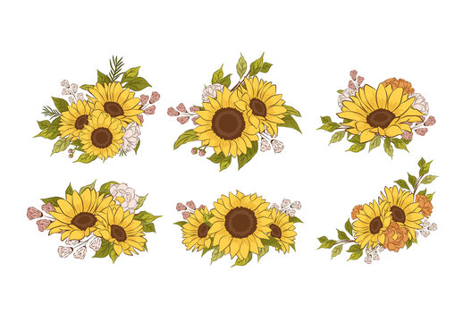 Yellow Flower Sunflower Illustrations