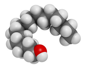Cetyl (or palmityl) alcohol molecule. Constituent of cetostearyl alcohol (cetearyl alcohol, cetylstearyl alcohol), 3D rendering.
