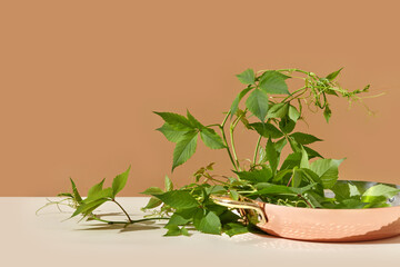 Elegant copper pan with grapevine leaves.