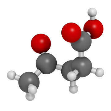 Levulinic acid molecule. Made by degradation of cellulose, potential precursor to biofuels, 3D rendering.