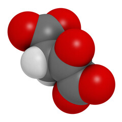 Oxaloacetic acid (oxaloacetate) metabolic intermediate molecule, 3D rendering.