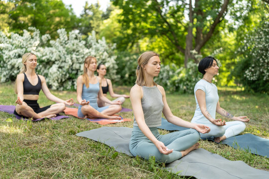 Group of young women practice yoga in park on summer sunny morning
