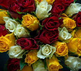 bouquet of roses