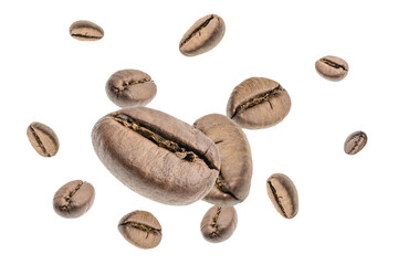 Coffee beans falling background. Black espresso coffee bean flying. Aromatic grain fall isolated on white. Represent breakfast for energy and freshness concept.