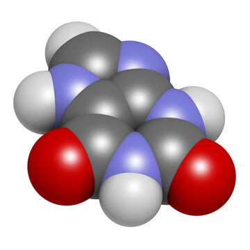 Xanthine purine base molecule, 3D rendering.