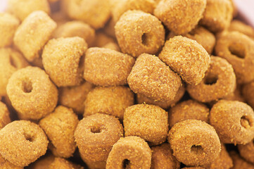 Dry pet food as a background. Animal feed macro photo.