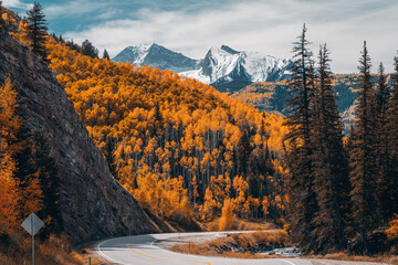 An asphalt road winds though the Colorado Rocky Mountains during fall with winter snow capped mountains in the background decorated by aspen trees in late Autumn.  - Powered by Adobe