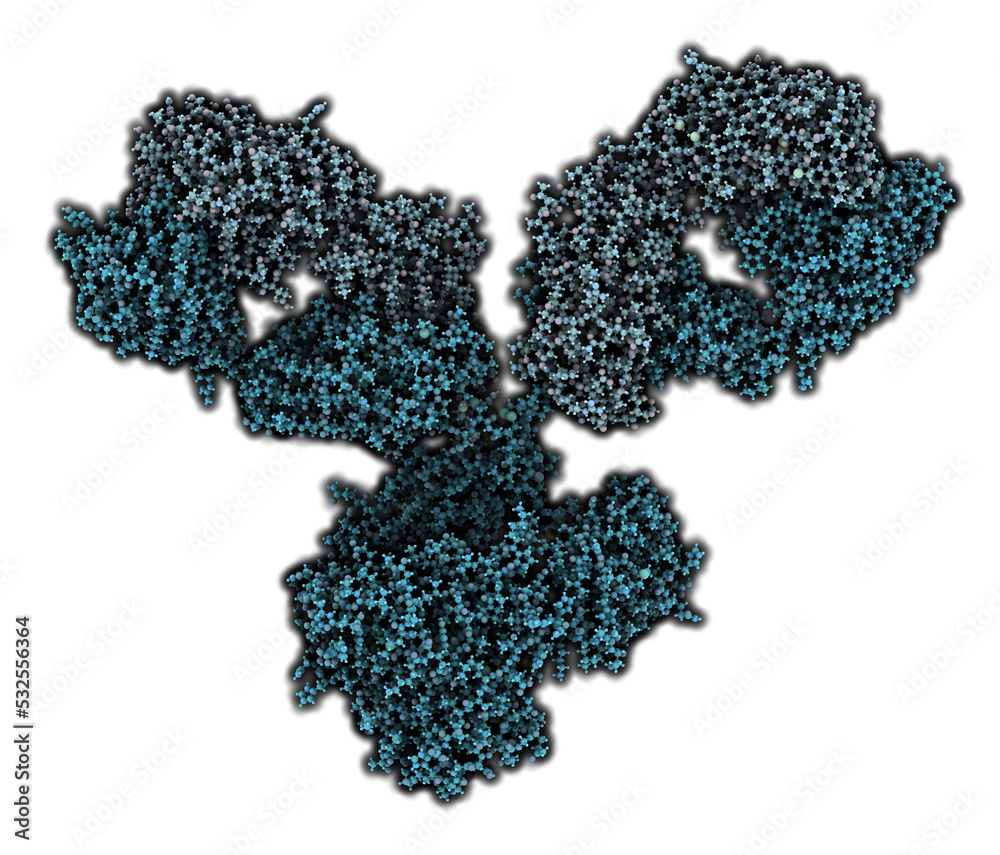 Canvas Prints igg1 monoclonal antibody (immunoglobulin), 3d rendering. many biotech drugs are antibodies. atoms ar