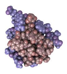 Insulin peptide hormone, 3D rendering. Important drug in treatment of diabetes. Chains shaded in different colors, atoms shown as spheres.