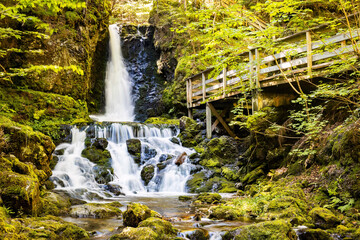 Scenic view of Dickson Falls in Fundy National Park Canada