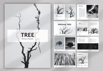 Tree Brochure Layout