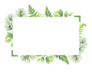 Greenery frame with pine, fern and wild herbs. Vector illustration.
