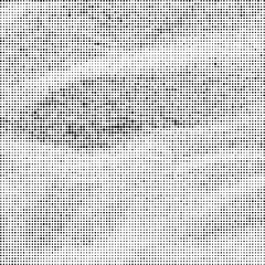 Halftone Pattern. Set of Dots. Dotted Texture on White Background. Overlay Grunge Template. Distress Linear Design. Fade Monochrome Points. Pop Art Backdrop.