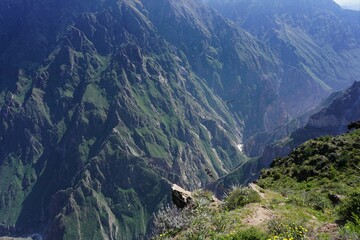 Colca Canyon, andes mountain, Peru