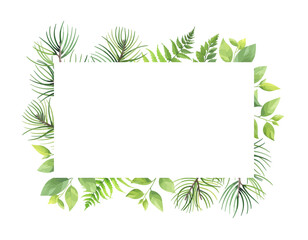 Greenery frame with pine, fern and wild herbs. Vector illustration.