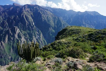 Colca canyon, Colca valley, Peru