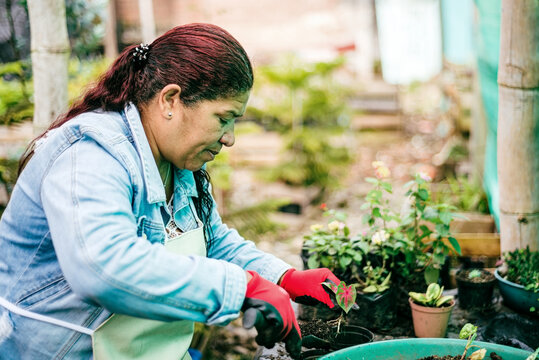 Concentrated woman filling a pot of soil to replant a plant