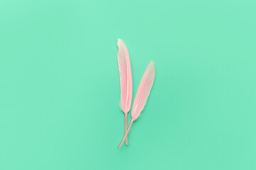 Two pink feathers over green backdrop.