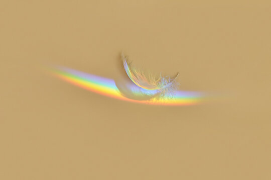 Rainbow Over Feather On Yellow Background.