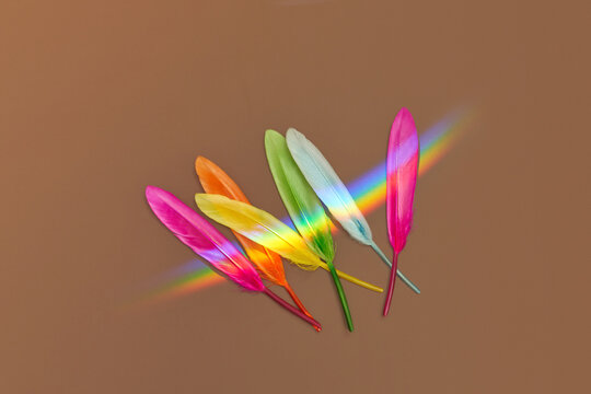 Colored feathers with abstract rainbow flare.