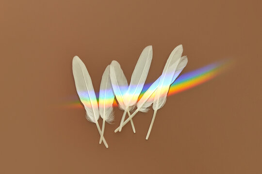 White feathers with rainbow light.