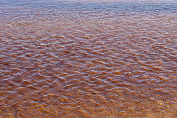 Brown, clear shallow water of the Baltic Sea. With a wavy texture.