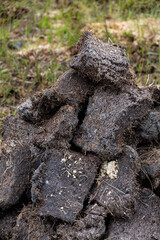 Close up shots of neat peat or turf bricks left to dry outdoors in the summer in a Scottish moor landscape on the Isle of Lewis and Harris, outer Hebirdes. Local combustible for heating.