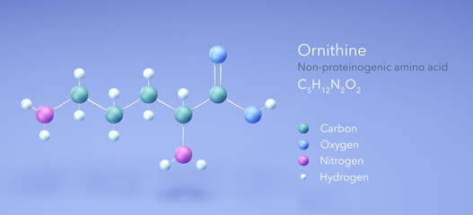 ornithine, molecular structures, amino acid, 3d model, Structural Chemical Formula and Atoms with Color Coding