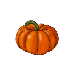 Orange pumpkin illustration. Autumn halloween pumpkin, vegetable graphic icon or print, isolated on white background.
