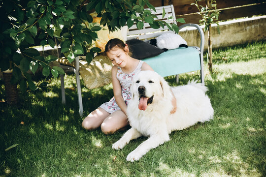 summer with a dog