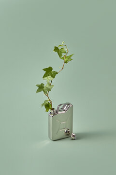 Silver canister with growing plant.