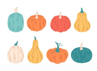 Pumpkins of different colors and shapes. Hello autumn, autumn harvest, farming. Vegetables, gourds. Hand drawn vector illustration