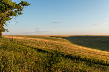 Harvesting in Ukraine