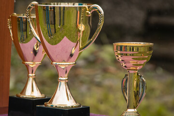 Award cup