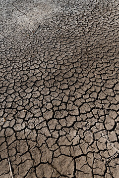 Dried up lake bottom as a result of climate change.