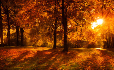 An autumn scene, falling leaves, digital art