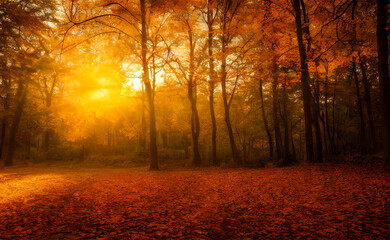 Fototapeta premium An autumn scene, falling leaves, digital art