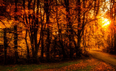 An autumn scene, falling leaves, digital art