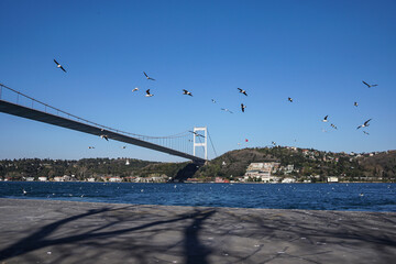Istanbul, Bosphorus bridge, seagulls, birds, sea and Bosphorus very beautiful background