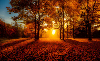 An autumn scene, falling leaves, digital art