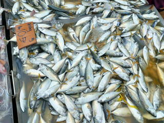Fresh fish and other seafood are on sale in wet markets. It is placed in a flea for the customer to...