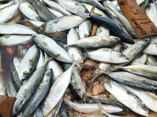 Fresh fish and other seafood are on sale in wet markets. It is placed in a flea for the customer to choose. Placed the price tag for convenience.