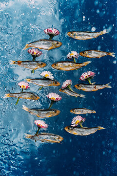 Art still life with a small fish and daisies.
