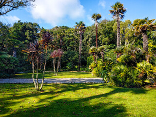 Nature and landscape of the Tresco island the second-biggest island of the Isles of Scilly in Cornwall, England