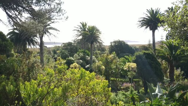 Nature and landscape of the Tresco island the second-biggest island of the Isles of Scilly in Cornwall, England