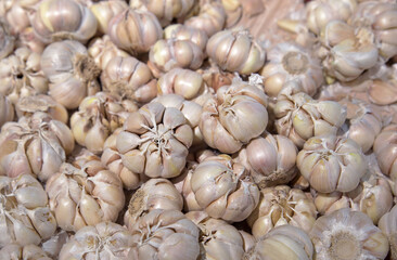 garlic pile texture background. Fresh garlic on market / Spicy cooking ingredient garlic for thai food.