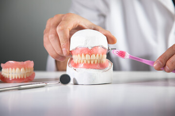 Fototapeta na wymiar Dentist holding mock mouth