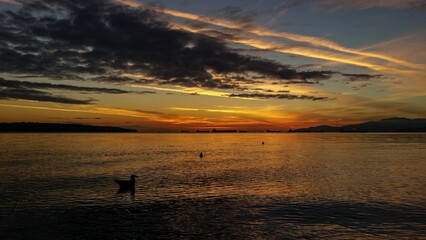 Vancouver sunset