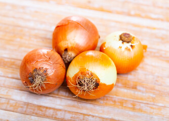 Close up photo of few bulbs of fresh ripe yellow onions over wooden background.