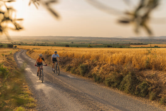Two mountain bikers between wheat fields